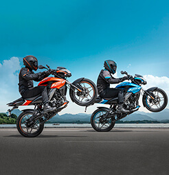 Pulsar Ns-125 Bike Models