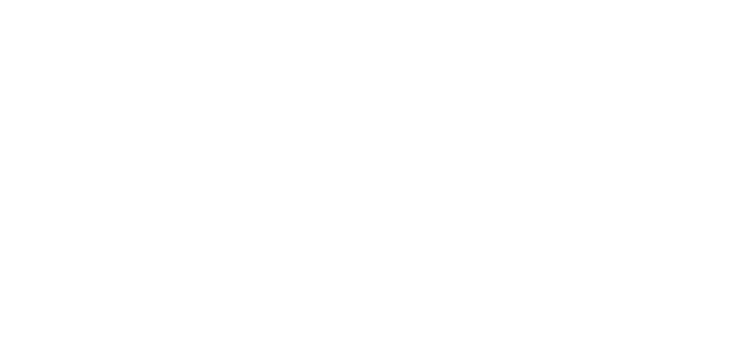 Platina Logo 02
