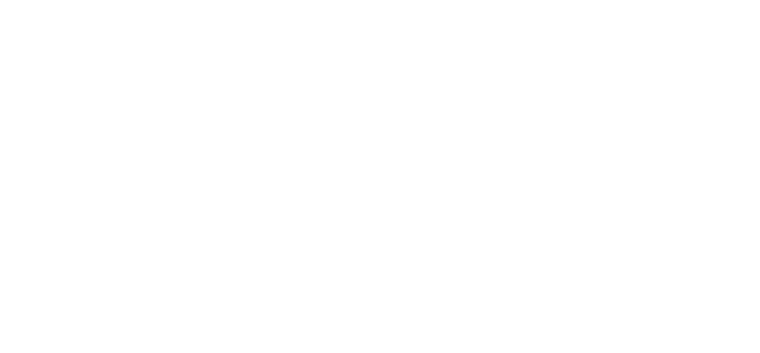 Platina Logo 02